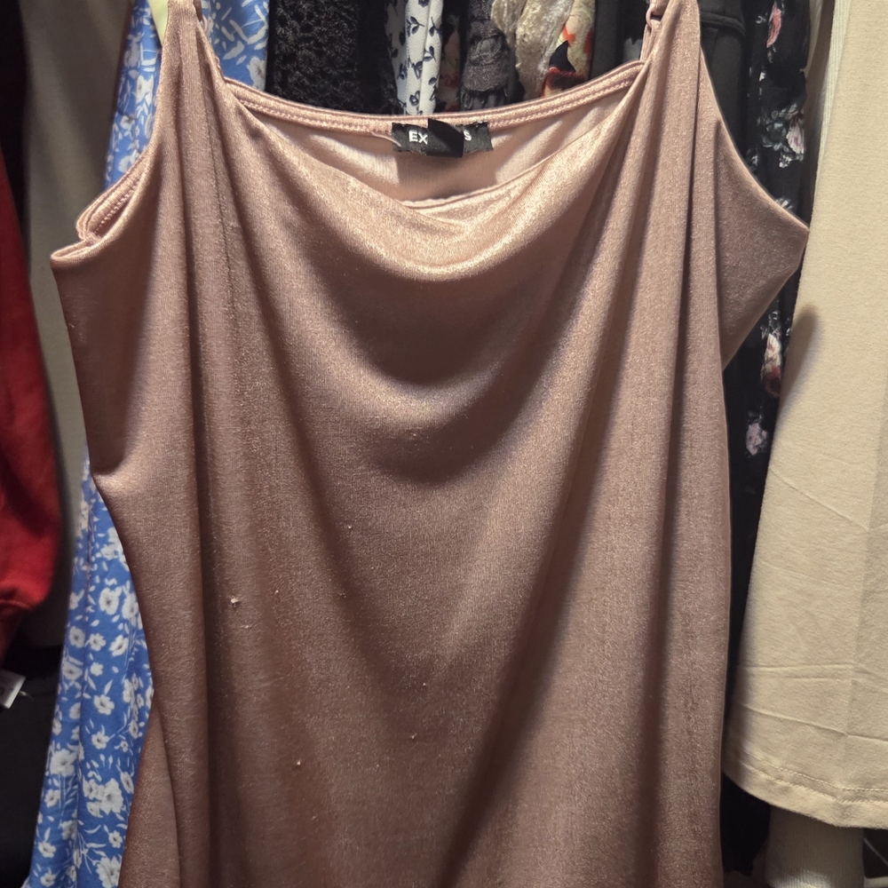 Express Shimmering Tan Camisole